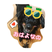 myhome.catdogs