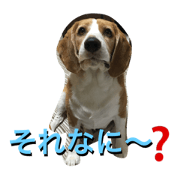 nonhoi tetsu