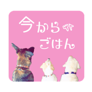 kurukonashow's sticker