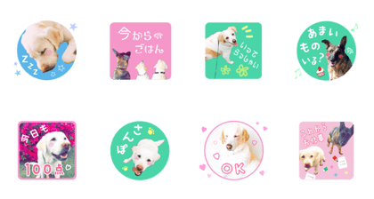 kurukonashow's sticker