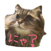 hug_chan's stamp