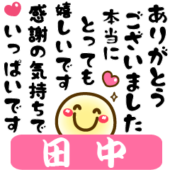 Simple smile Big stickers "Tanaka"