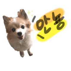 Yuka_20210412133458