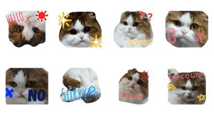 oryu_san