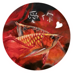 夢遊的紅龍魚2