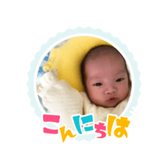 hikari_20210412164529