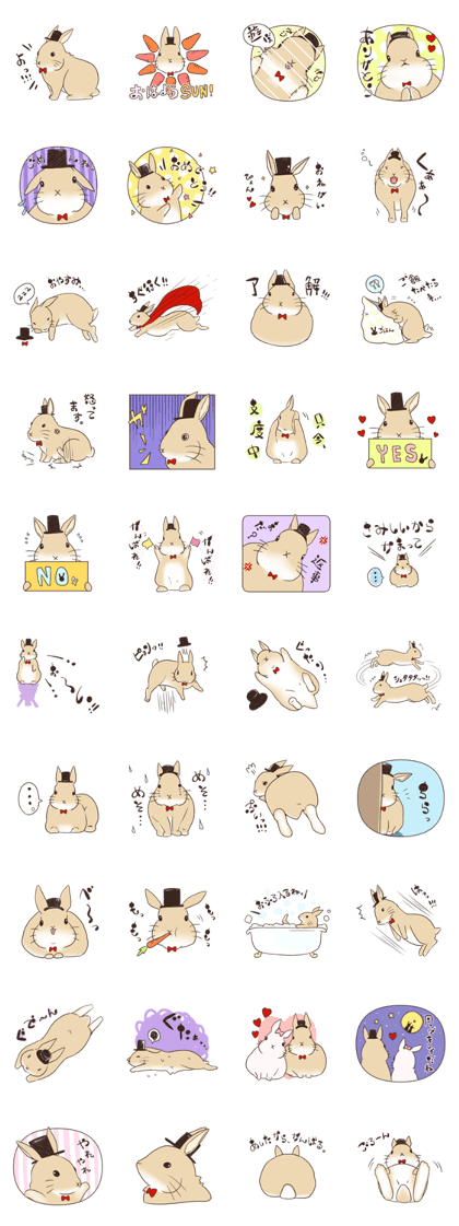 Bow tie Rabbit!