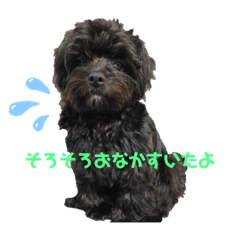 risa_20210412173613