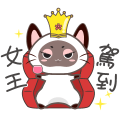Queen cat-Siamese