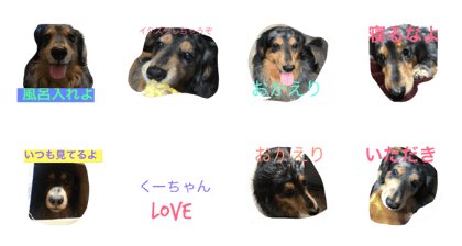 kuru chan day