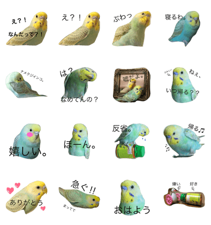 ZUNPIKO(Kawaii Inco)