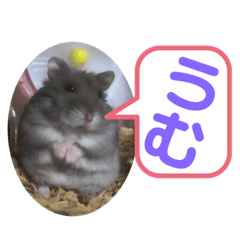 こつぶのこつぶ