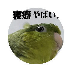 hikari_20210412210032