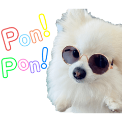 Ului._20210412211809