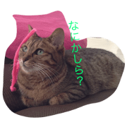 LUNA,S EVERYDAY