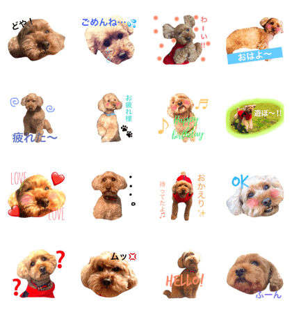 Pelu's sticker