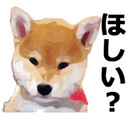 TALKING SIBA-INU Everyday conversation 2