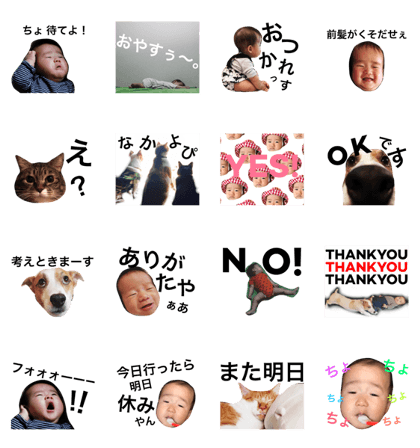 cat,dog,baby's