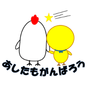 Loose chick and loose chicken2