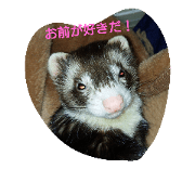 tanu chi