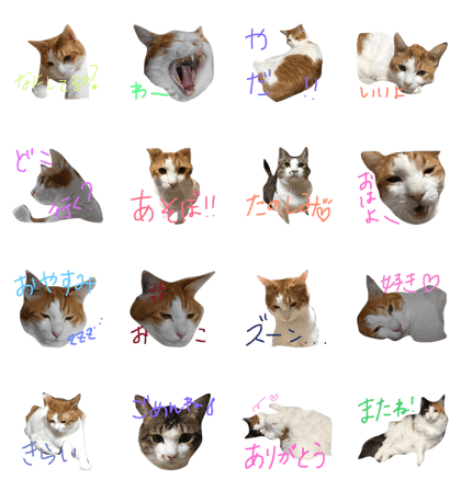uchinonekotachi