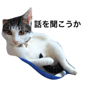 cat stamp(miko)