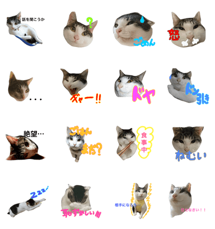 cat stamp(miko)