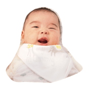 Shogo shenpai's stickers.