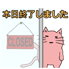 A cat without smile (JP)