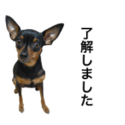 Minpin's Talk 6