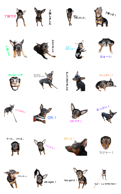 Minpin's Talk 6