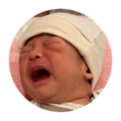 曾蛋蛋表情大全