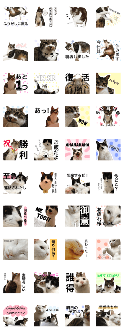 Occhans_2