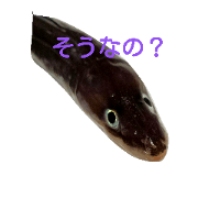 Fish Dzukushi