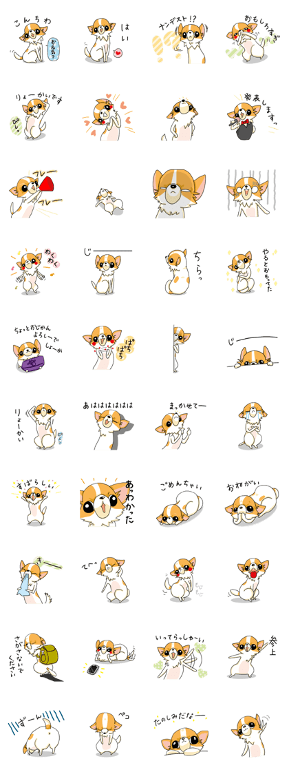 From a chihuahua, message3