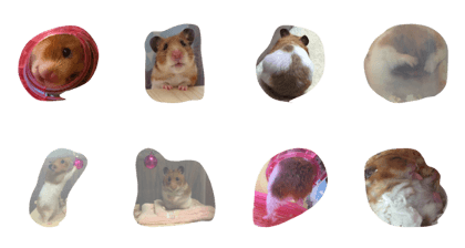 hamstercoco