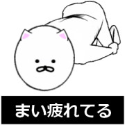 mai003