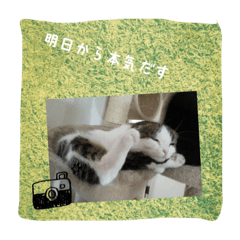 sumosan.2