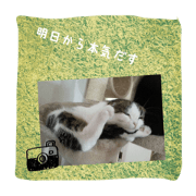 sumosan.2