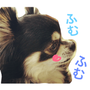 Haulu