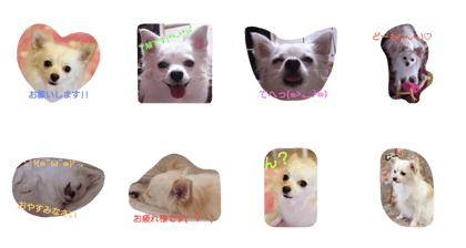 mymamichan