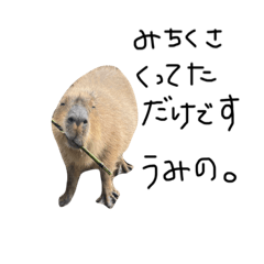 mizuki_20210413133445