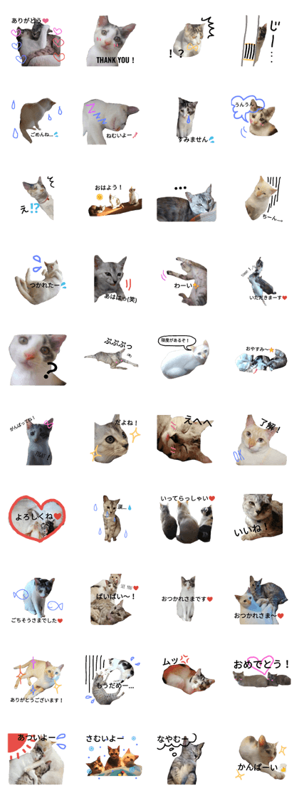 My  Pretty Cats! Giga & Mike & Sazae
