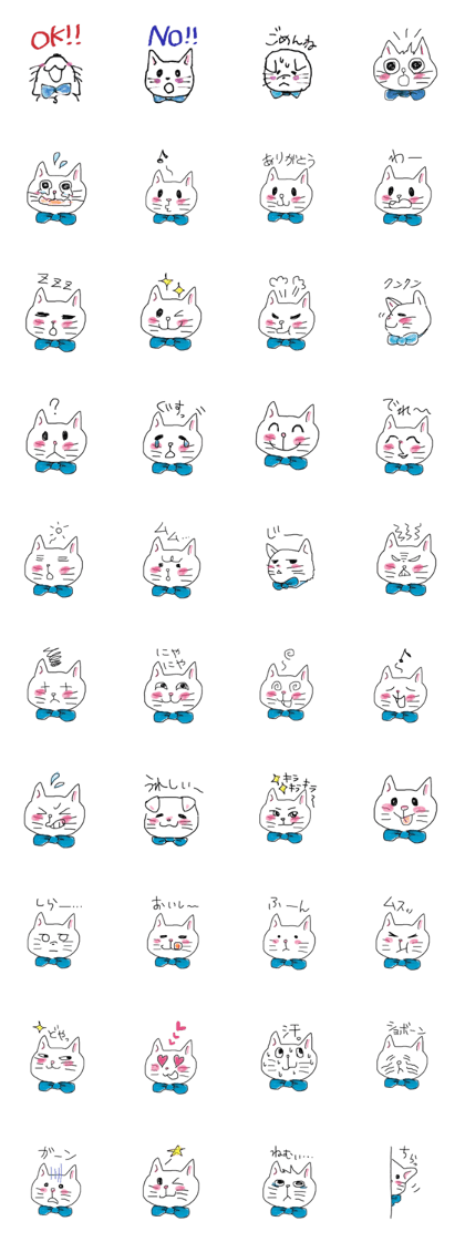 AO of a cat