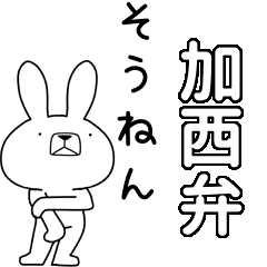 BIG Dialect rabbit[kasai]