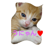 nyanzu