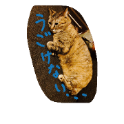 chappy the cat 2