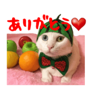 Daily Sticker of Mary & Amu & Maron