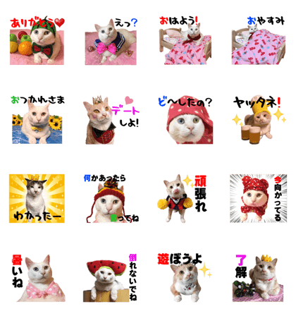 Daily Sticker of Mary & Amu & Maron