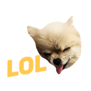 Cute Pet 001